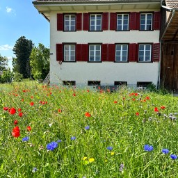 Vorboten zum Wiesenfest