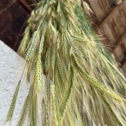 Sichlete – vom Feld unters Dach